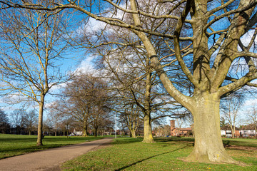 Obraz premium A path through the middle of Prospect Park in Reading, UK