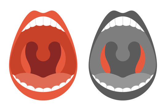 Tonsils vector cartoon simple illustration isolated on a white background.