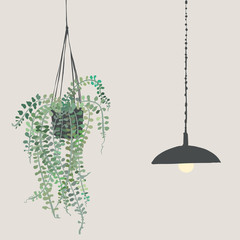 つる植物　　ホヤ　ペンダントライト　植物　インテリア