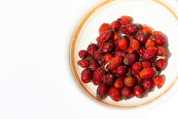 dried red ripe rosehip fruit