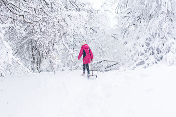 Fototapeta na wymiar girl with sled in winter, a lot of snow
