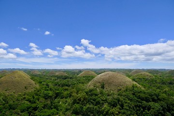 Scenic Chocolate Hills before blue sky, view into distance, Bohol, Philippines