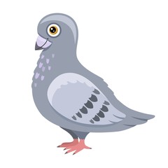 Smiling pigeon cartoon vector illustration