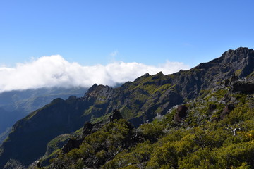 Landscape of green mountains of Madeira Island - view from the trial to Pico Ruivo.