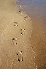 footprints in the sand