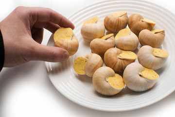 Hand holds snail stuffed with sauce