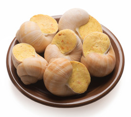 still life of stuffed snail sauce, on a white background