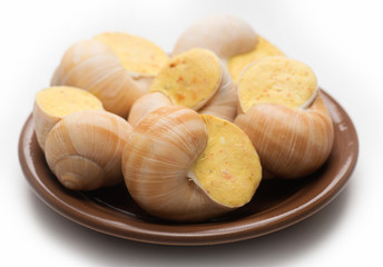 still life of stuffed snail sauce, on a white background
