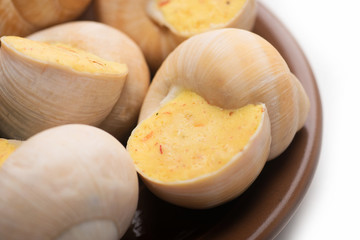 still life of stuffed snail sauce, on a white background