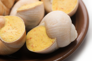 still life of stuffed snail sauce, on a white background