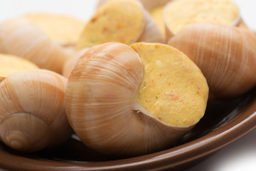still life of stuffed snail sauce, on a white background