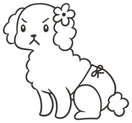パンツをはいたメスのトイプードルのイラスト_怒り顔