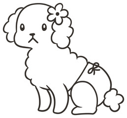 パンツをはいたメスのトイプードルのイラスト