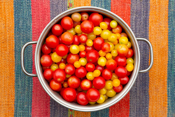 A cooking pot ful of freshly harvested Cherry Tomatoes - Solanum lycopersicum - seen from above on a colorful carpet.