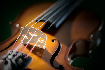 Violin close up on bridge and strings background