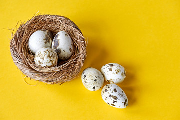 Obraz premium Easter nest and fragile speckled or spotted quail eggs on yellow background with copy space for use as a easter background or spring background. 