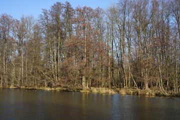 Fototapeta na wymiar Sonnige Flusslandschaft im Spreewald bei Lübben