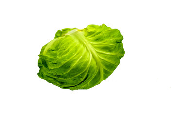 Cabbage isolated on a white background with herbal medicine concept.