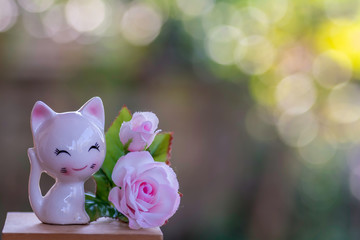 Doll cat sat smiling on the background bokeh.