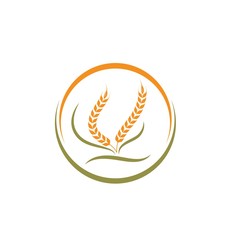 Agriculture wheat   vector icon illustration design