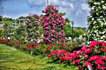 Picture of Verny Park in Yokosuka, Japan