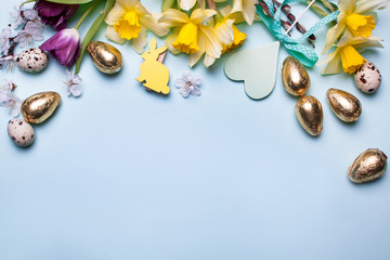Spring yellow flowers of daffodil, tulips, quail and golden Easter eggs on a blue background. Easter card in flat lay style