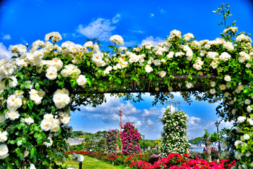 Obraz premium Picture of Verny Park in Yokosuka, Japan