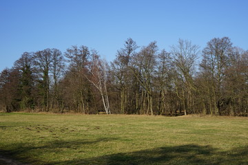Wiese an der Spree bei Lübben im Spreewald
