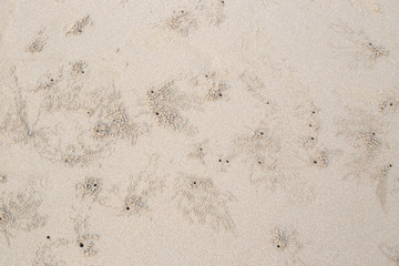 sand with crab holes
