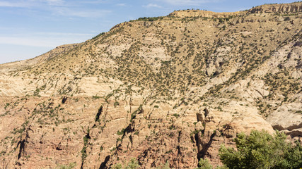 Dana Biosphere Reserve is Jordan's largest nature reserve, located in south-central Jordan and includes mountain slopes of Eastern Rift Valley to Wadi Arab. Ecotourism and nature conservatio