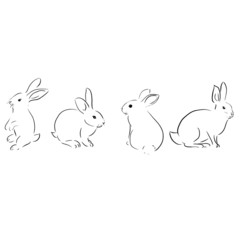 Obraz na płótnie Canvas beautiful rabbit art vector illustration 