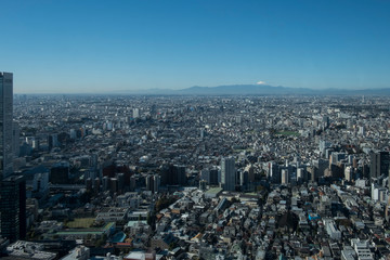 Obraz premium Fuji from Tokyo