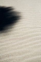 View of sand on dune from ground level showing ripples in diagonal with shadow from tree