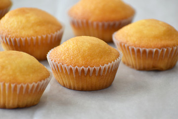 Muffin cake on a parchment paper with copy space. Selective focus. 