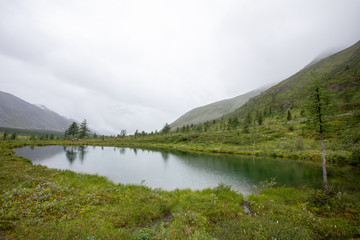 Fototapeta na wymiar Mountain lake with green grass on the shore. Mountains of the Polar Urals