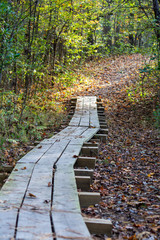 View of boardwalk pathway through woods on a fall day