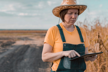 Female corn farmer using digital tablet in cornfield, smart farming