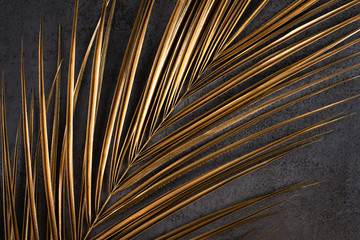 Closeup of golden palm leaf on abstract dark grey textured background. Tropical conceptual luxury...