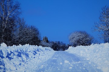 winter landscape with trees and snow