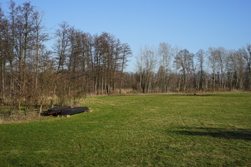 Umgedrehte Spreewaldkähne auf einer Wiese bei Lübben