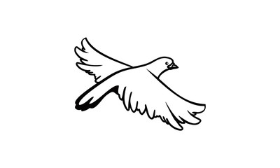 flying animal bird vector