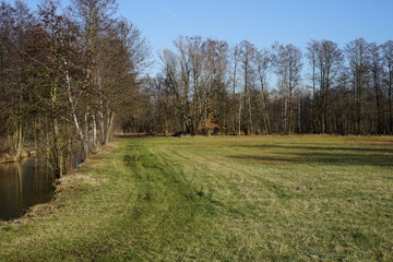 Grünes Feld an einem Fließ bei Lübben im Spreewald