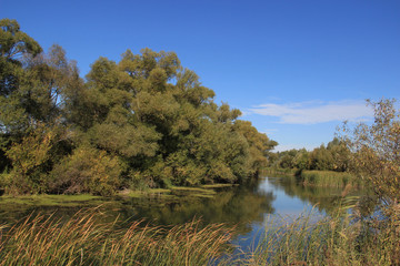 A quiet river on a bend surrounded by trees, reeds, grass against the blue sky.