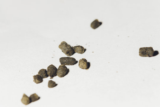 portion snus tobacco for use through the gums.