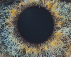 Macro of the eye of a man. Shallow depth of field.