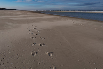 Strandsparziergang