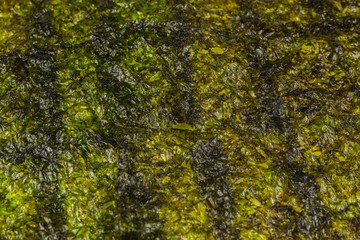 Nori seaweed isolated on white.