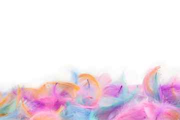 Fototapeta na wymiar Colorful feather background, isolated on white.