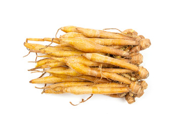 Finger root (Krachai) fresh isolated on white background, finger root is herb and Thai food ingredient.