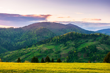 rural landscape in mountains at dusk. amazing view of carpathian countryside with fields and trees on rolling hills. glowing purple clouds on the sky. calm weather in springtime